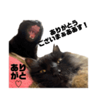 3匹のお猫Part2（個別スタンプ：11）