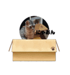 おもんない煽りスタンプ（個別スタンプ：22）