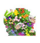 ハリネズミ ウサギ 花（個別スタンプ：22）