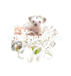 ハリネズミ ウサギ 花（個別スタンプ：33）