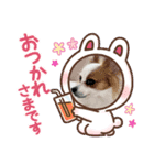 パピヨンのぴのちゃんのスタンプ♡5（個別スタンプ：6）