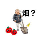 Everyday AO⑤（個別スタンプ：30）