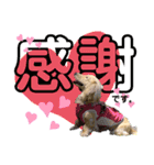 りりぃちゃんのスタンプ（個別スタンプ：3）