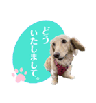 りりぃちゃんのスタンプ（個別スタンプ：7）