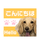 りりぃちゃんのスタンプ（個別スタンプ：9）