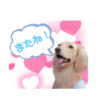 りりぃちゃんのスタンプ（個別スタンプ：10）