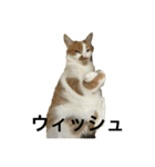 きーたんとん（個別スタンプ：2）