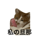 きーたんとん（個別スタンプ：5）