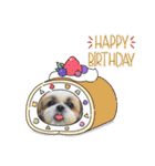 シーズー犬 パンナ3（個別スタンプ：15）