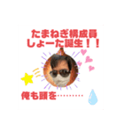 たまねぎ団員4（個別スタンプ：7）