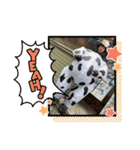 たまねぎ団員4（個別スタンプ：14）