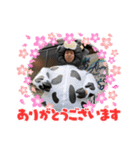 たまねぎ団員4（個別スタンプ：24）