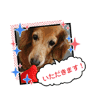めりんぷ④（個別スタンプ：3）