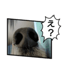 めりんぷ④（個別スタンプ：10）