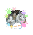 めりんぷ④（個別スタンプ：12）