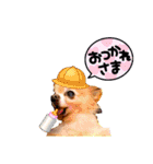 マックスねーね（個別スタンプ：2）