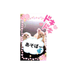 マックスねーね（個別スタンプ：13）