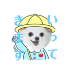 マックスねーね（個別スタンプ：19）