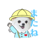 マックスねーね（個別スタンプ：20）