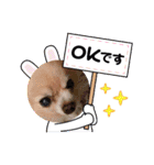 マックスねーね（個別スタンプ：23）