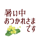 お花でやさしい夏あいさつ＊癒しの植物（個別スタンプ：6）