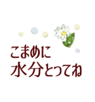 お花でやさしい夏あいさつ＊癒しの植物（個別スタンプ：16）