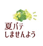 お花でやさしい夏あいさつ＊癒しの植物（個別スタンプ：17）