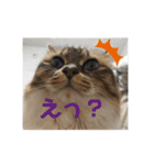 ねこと生活( キョンとねこ)（個別スタンプ：32）