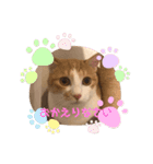 マガリシッポのスタンプ（個別スタンプ：23）