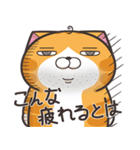 ランラン猫 22 (日本語)（個別スタンプ：17）