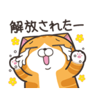 ランラン猫 22 (日本語)（個別スタンプ：31）