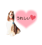 EnglishSpringerSpaniel WOODS 4（個別スタンプ：5）