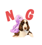 EnglishSpringerSpaniel WOODS 4（個別スタンプ：10）