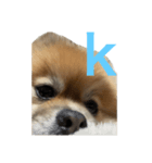 kを下さい。（個別スタンプ：6）