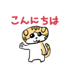 家族で使うMiiiiiiiiiiiiねこスタンプ第2弾（個別スタンプ：16）