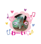 ブルーイグアナのベイちゃん②（個別スタンプ：8）