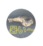 k.nオリジナル8（個別スタンプ：12）
