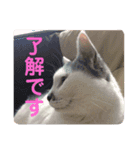 k.nオリジナル8（個別スタンプ：14）