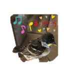 k.nオリジナル8（個別スタンプ：16）