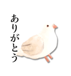 粘土の鳩さんスタンプ（個別スタンプ：4）