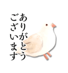 粘土の鳩さんスタンプ（個別スタンプ：5）