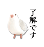粘土の鳩さんスタンプ（個別スタンプ：6）