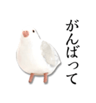 粘土の鳩さんスタンプ（個別スタンプ：9）
