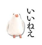 粘土の鳩さんスタンプ（個別スタンプ：12）
