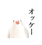 粘土の鳩さんスタンプ（個別スタンプ：13）