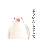 粘土の鳩さんスタンプ（個別スタンプ：14）