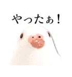 粘土の鳩さんスタンプ（個別スタンプ：16）