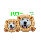 琥珀ちんとプリロンちゃん（個別スタンプ：10）