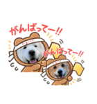 琥珀ちんとプリロンちゃん（個別スタンプ：14）
