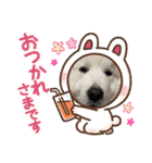 琥珀ちんとプリロンちゃん（個別スタンプ：16）